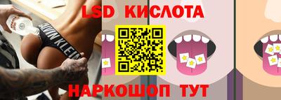гидропоника Будённовск